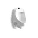 Kohler 5016-ET-0 Dexter Elongated Top Spud Urinal White