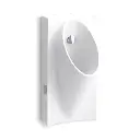 Kohler 5244-ER-0 Steward Hybrid Rear Spud Urinal White