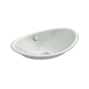 Kohler 5403-W-FF Iron Plains Wading Pool Oval Bathroom Sink With White Painted Underside