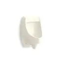 Kohler 5452-ER-96 Dexter Washdown Wall Mount 0.125 GPF Urinal With Rear Spud Biscuit