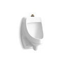 Kohler 5452-ET-0 Dexter Washdown Wall Mount Top Spud Urinal White