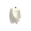 Kohler 5452-ET-96 Dexter Washdown Wall Mount Top Spud Urinal Biscuit