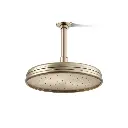 Kohler 13693-G-BV 10 Traditional 10" Single Function 1.75 GPM Rainhead Vibrant Brushed Bronze