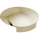 Delta RP101289PN Metal Glass Rinser Cover Polished Nickel