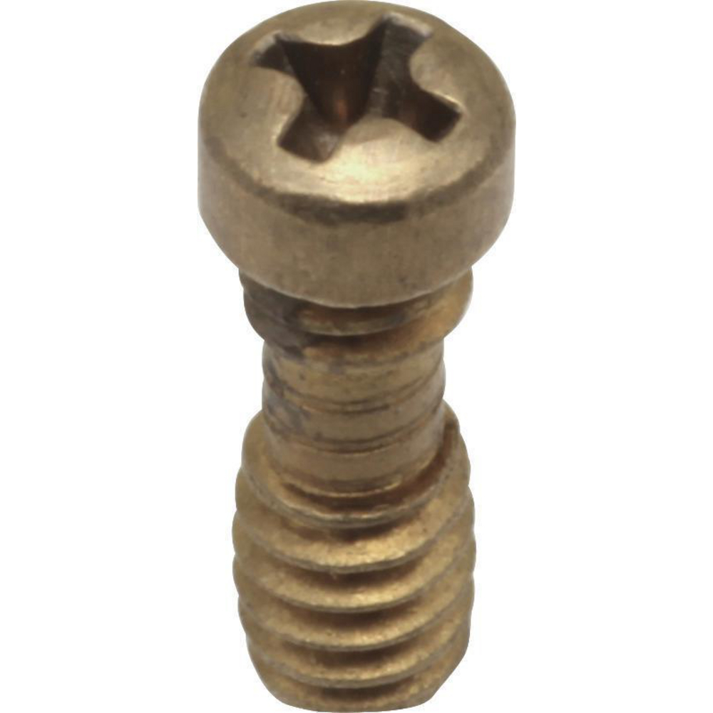 Delta RP20185 1/2" Retention Screws