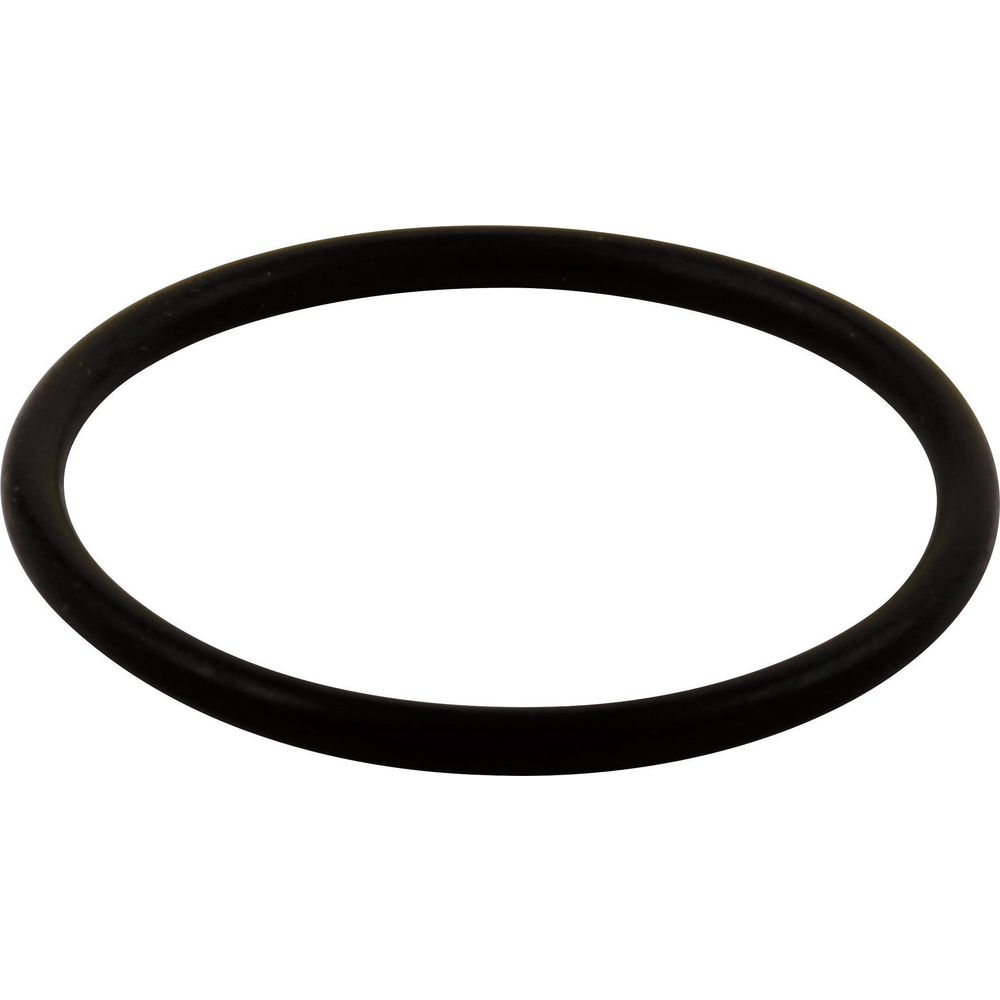 Delta RP23336 Monitor Series Large O-Ring