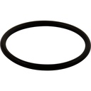 Delta RP23336 Monitor Series Large O-Ring