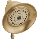 Delta RP34355CZ Touch-Clean 3-Setting Shower Head Champagne Bronze