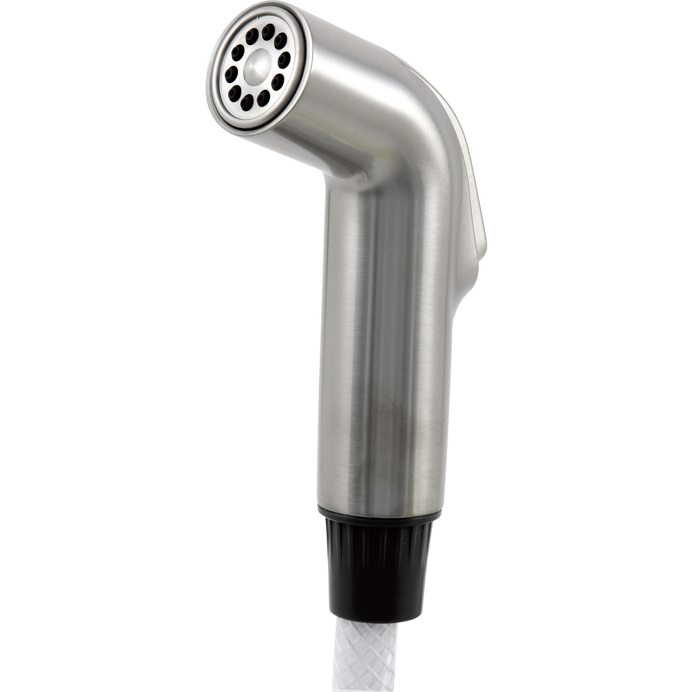 Delta RP54235SS Collins Spray And Hose Assembly Stainless