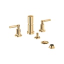 Brizo 68476-PG Invari Bidet Polished Gold