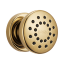 Brizo 84110-PG Essential Touch-Clean Round Body Spray Brilliance Polished Gold