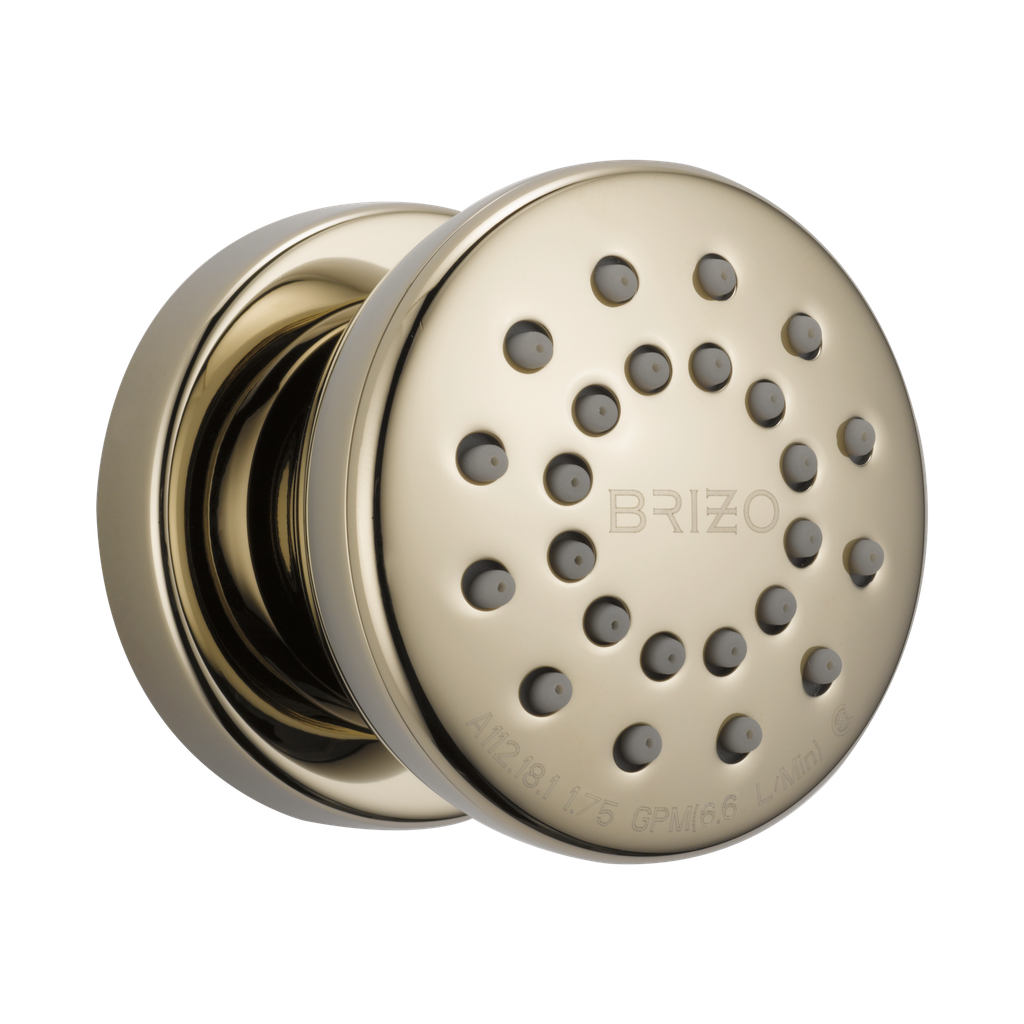Brizo 84110-PN Essential Touch-Clean Round Body Spray Brilliance Polished Nickel