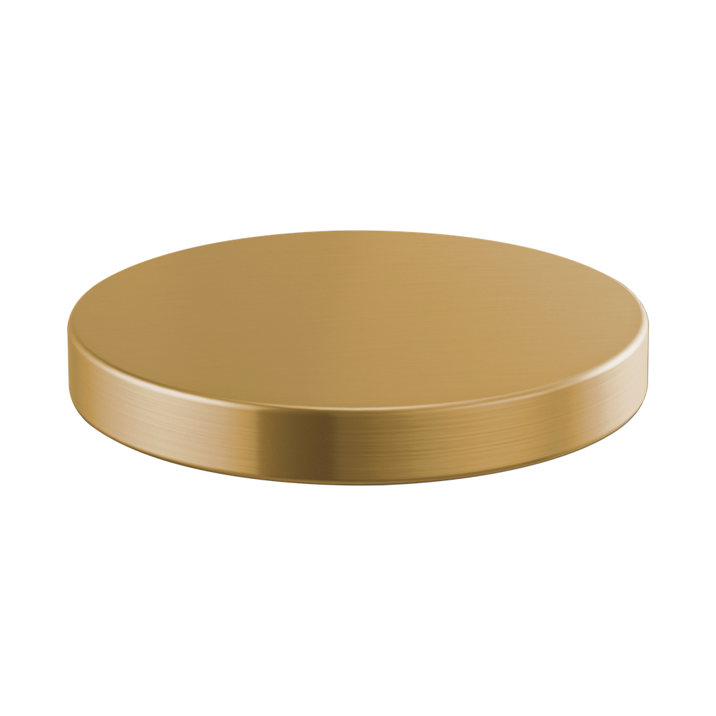 Brizo RP90934GL Litze Hole Cover Brilliance Luxe Gold