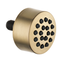 Brizo SH84103-GL Essential Touch Clean Body Spray Sprayhead Brilliance Luxe Gold
