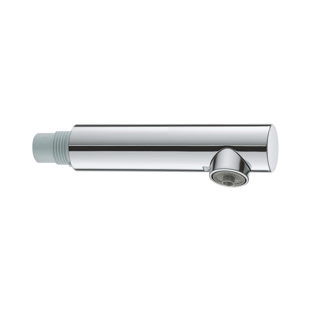 Grohe 46999000 Universal Pull Out Spray StarLight Chrome