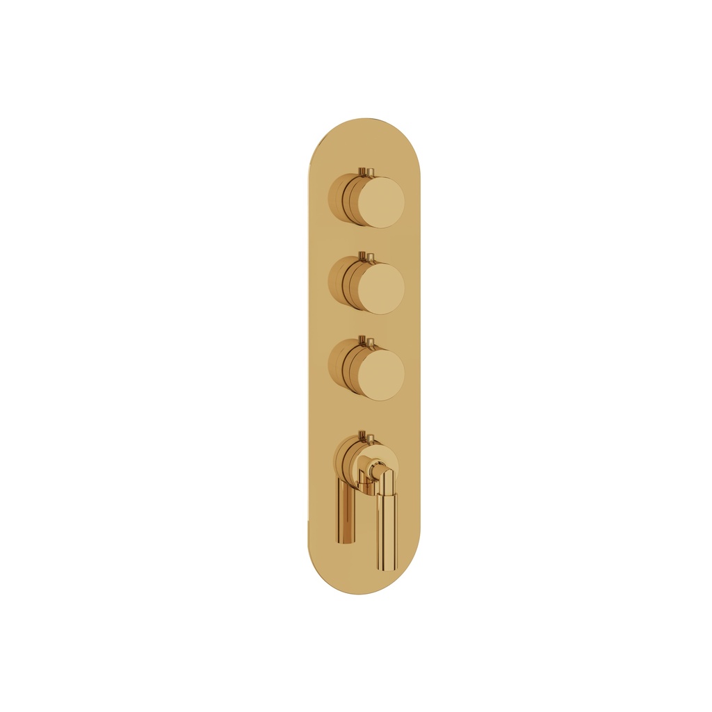 Aquabrass R3348PGD Aria Round Trim Set T12003 Valve Polished Gold