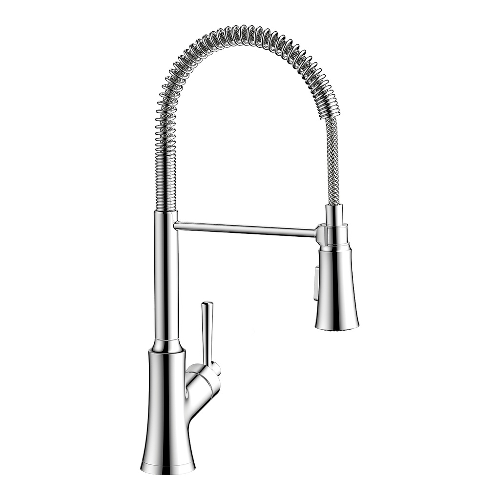 Hansgrohe 04792000 Joleena Semi-Pro Kitchen Faucet 2 Spray Chrome