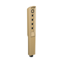 Brizo RP92007GL Vettis Multi-Function Handshower Brilliance Luxe Gold
