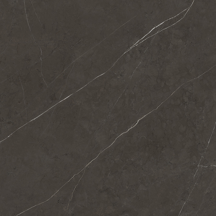 Porcelanosa 100253366 Liem Dark Nature 120X120 (6)(A)