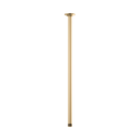 Brizo 83992-24-GL Essential 24" Ceiling Mount Shower Arm And Round Flange Brilliance Luxe Gold