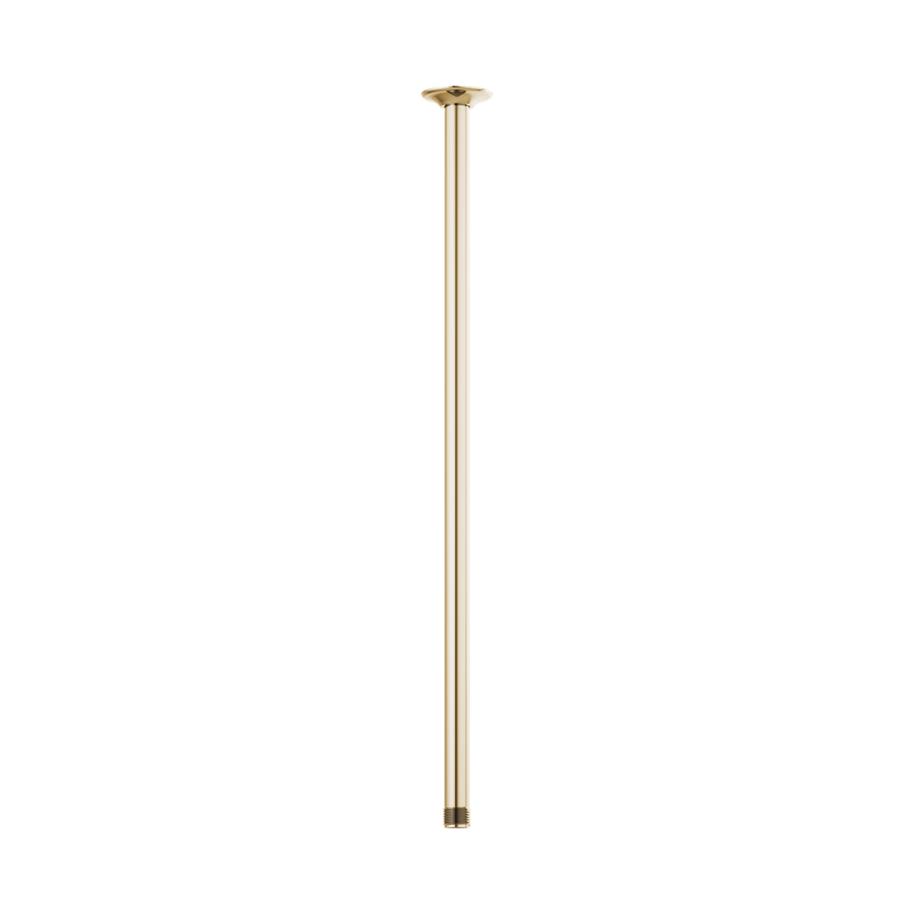 Brizo 83992-24-PG Essential 24" Ceiling Mount Shower Arm And Round Flange Brilliance Polished Gold