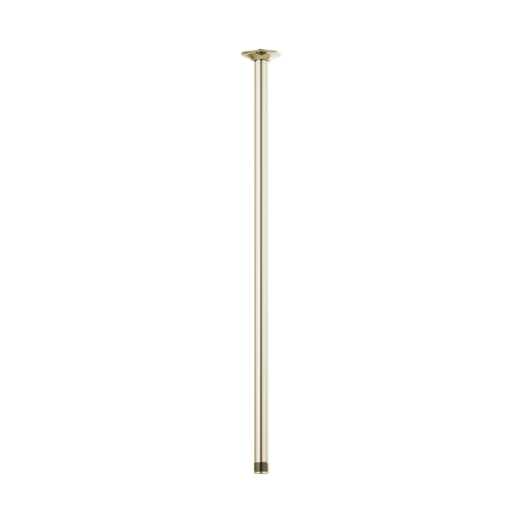 Brizo 83992-24-PN Essential 24" Ceiling Mount Shower Arm And Round Flange Brilliance Polished Nickel
