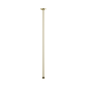 Brizo 83992-24-PN Essential 24" Ceiling Mount Shower Arm And Round Flange Brilliance Polished Nickel
