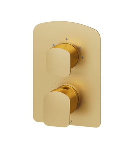 [TEN-DEPB33-BG] Tenzo DEPB33-BG Delano T-Box Valve 3 Functions Pres Bal Brushed Gold Finish