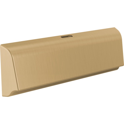 [DEL-RP103311CZPR] Delta RP103311CZPR Unilateral Steam Head Champagne Bronze