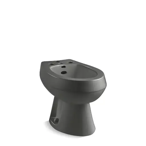 [KOH-4854-58] Kohler 4854-58 San Tropez Vertical Spray Bidet Thunder Grey