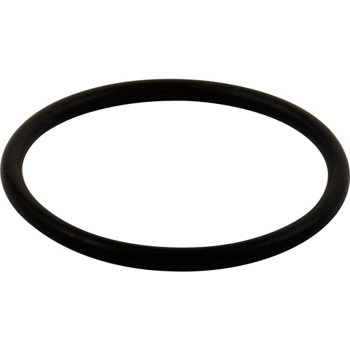 [DEL-RP23336] Delta RP23336 Monitor Series Large O-Ring