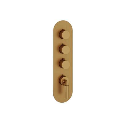 [AQB-R3348BGD] Aquabrass R3348BGD Aria Round Trim Set T12003 Valve Brushed Gold