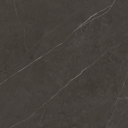 [PORC-100253366] Porcelanosa 100253366 Liem Dark Nature 120X120 (6)(A)