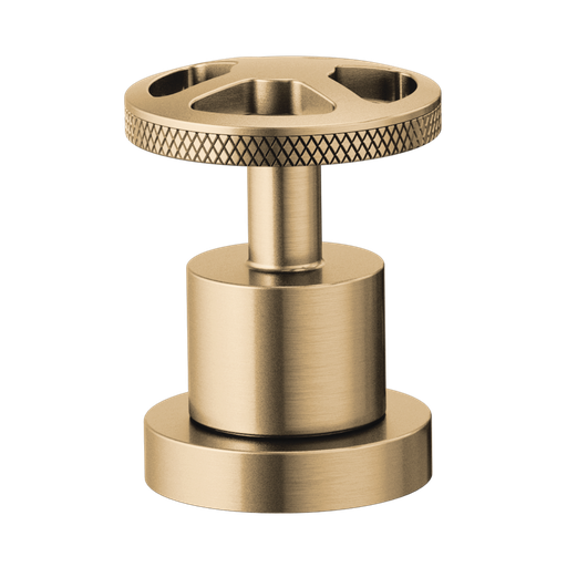 [BRI-HW632-GL] Brizo HW632-GL Litze Roman Tub Wheel Handle Kit Brilliance Luxe Gold