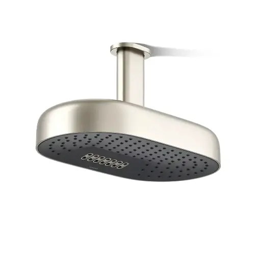 [KOH-26295-BN] Kohler 26295-BN Statement Oblong 14" Two Function Rainhead Vibrant Brushed Nickel