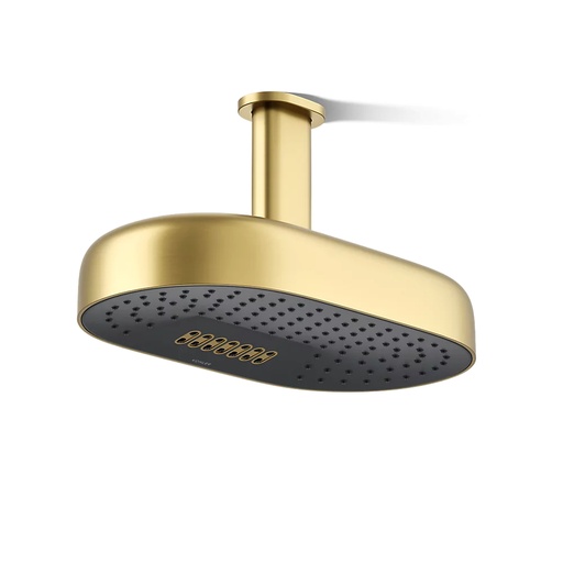 [KOH-26295-G-2MB] Kohler 26295-G-2MB Statement Oblong 14" Two Function Rainhead Vibrant Brushed Modern Brass