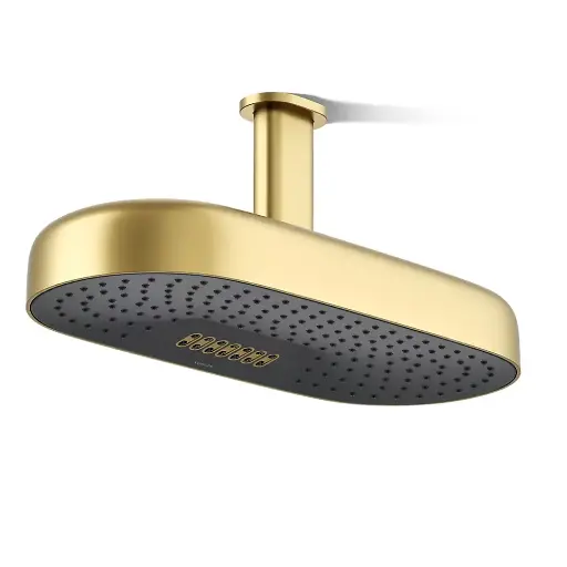 [KOH-26297-2MB] Kohler 26297-2MB Statement Oblong 18" Two Function Rainhead Vibrant Brushed Modern Brass